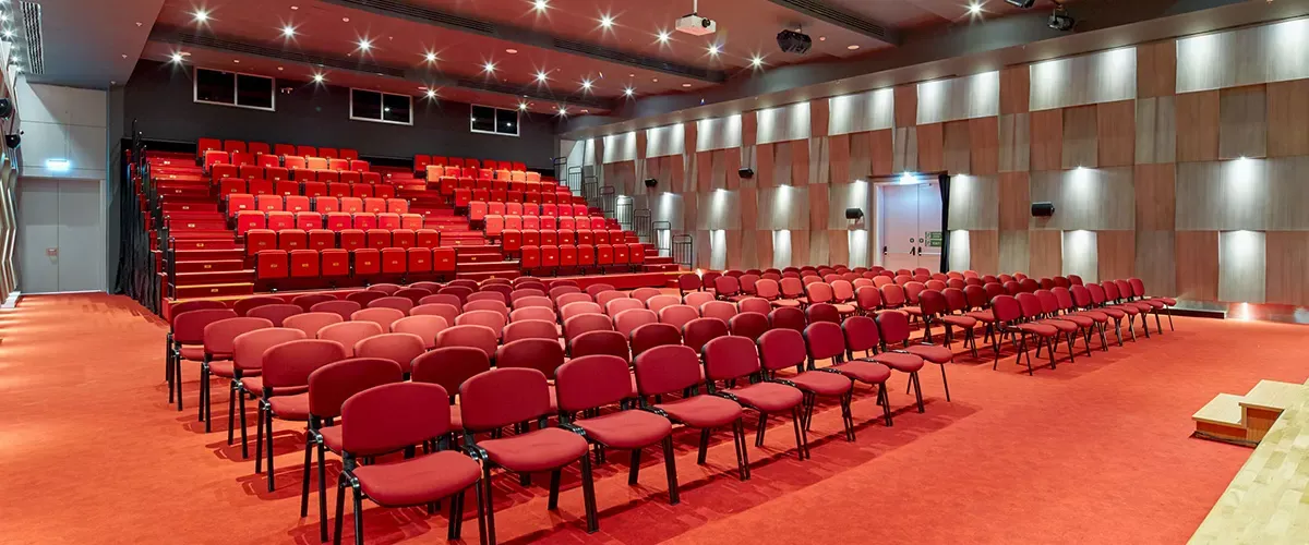 Rönesans TED Koleji Konferans Salonu projesinden bir görsel